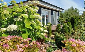 Family Garden House With Free Private Parking & Playground