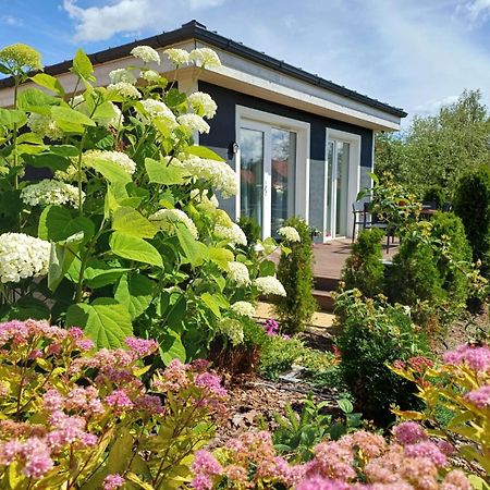 Villa Family Garden House With Free Private Parking & Playground Riga Exterior foto
